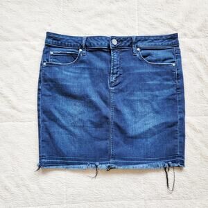 Articles of Society Raw Hem Denim Mini Skirt
